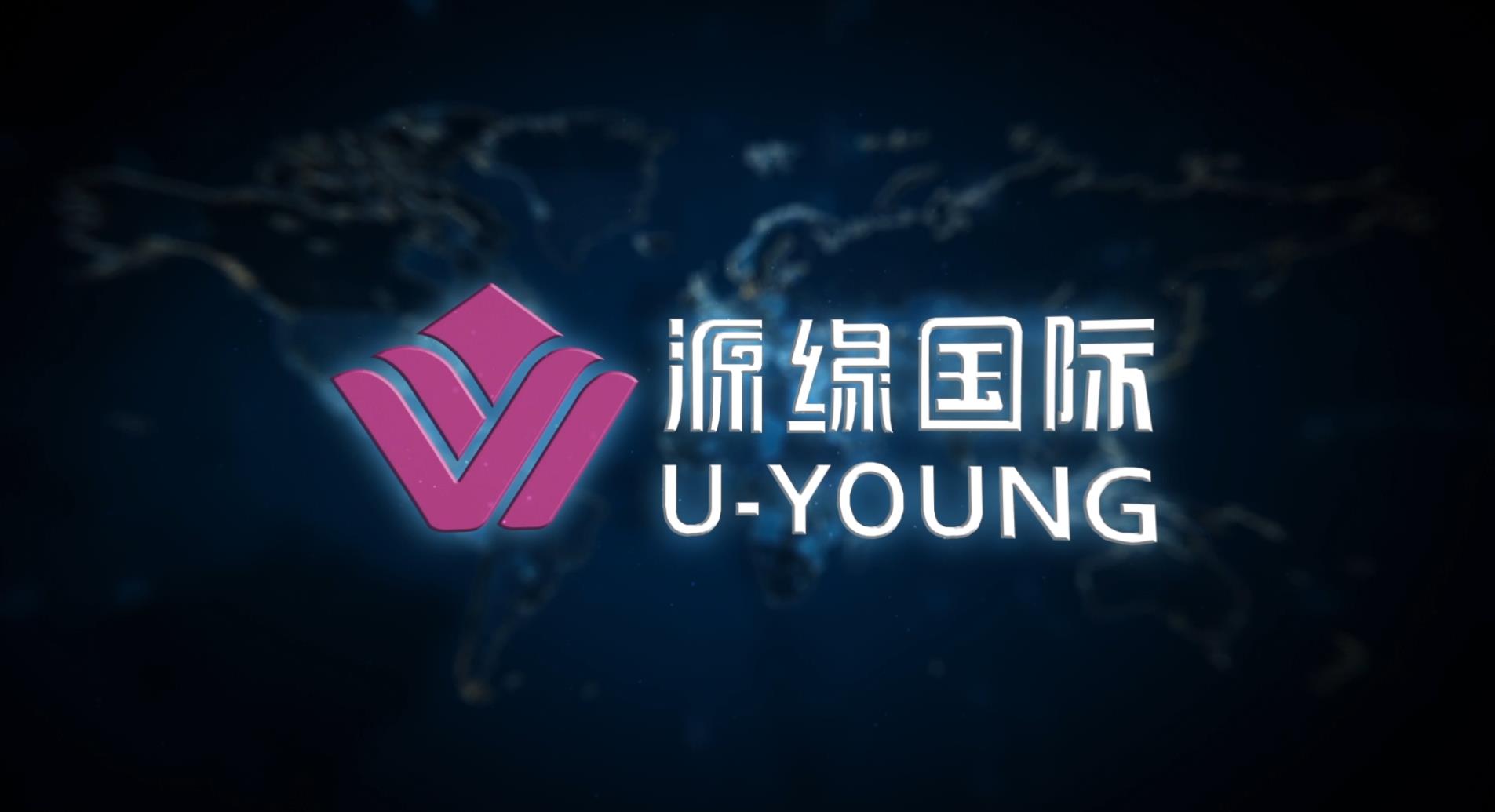 愿景片